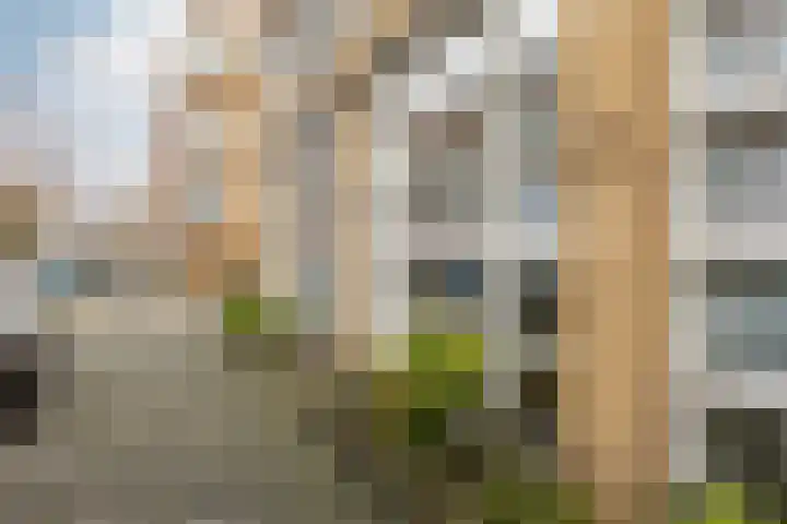 Willebrordusstraat 58 Rotterdam thumbnail 32