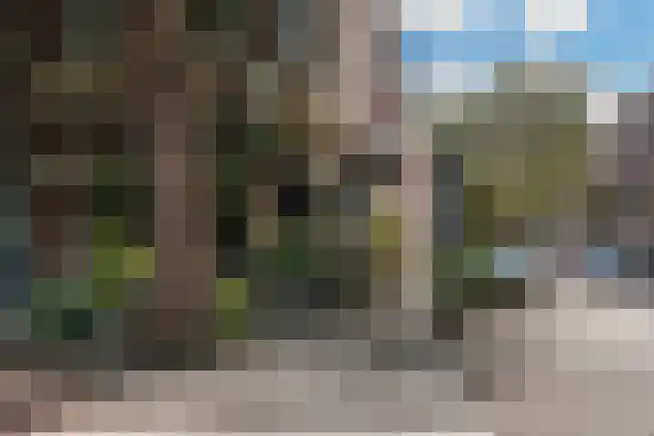 Willebrordusstraat 66 Rotterdam thumbnail 29