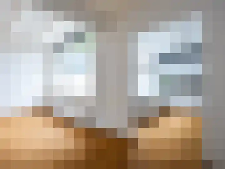 Willebrordweg 18 Renkum thumbnail 10