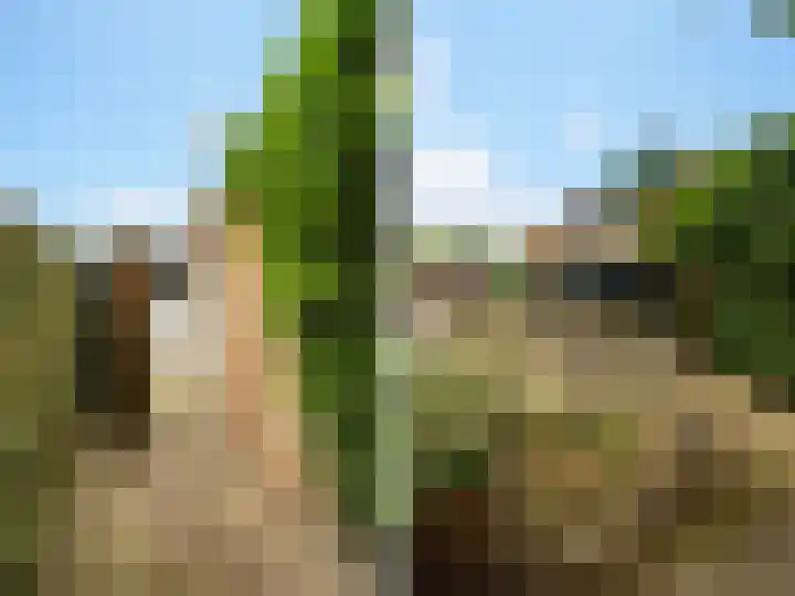 Willebrordweg 18 Renkum thumbnail 27