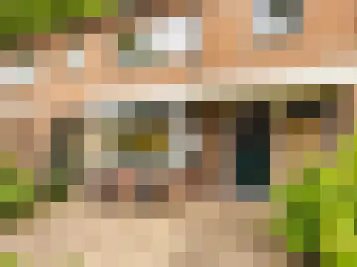 Willebrordweg 18 Renkum thumbnail 5