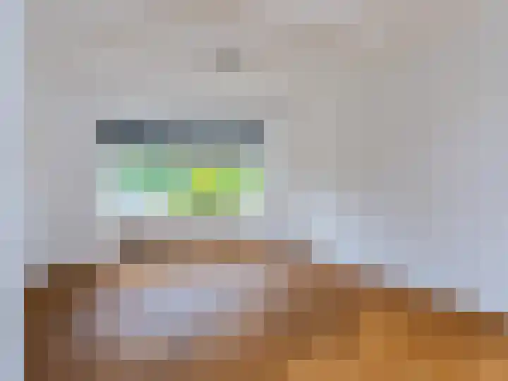 Willebrordweg 18 Renkum thumbnail 7