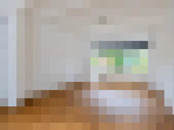 Willebrordweg 18 Renkum thumbnail 8