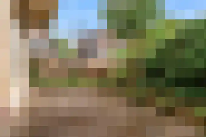 Willebrordweg 2 B Renkum thumbnail 29