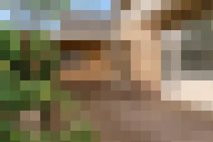 Willebrordweg 2 B Renkum thumbnail 30