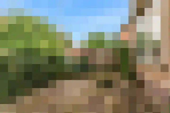 Willebrordweg 2 B Renkum thumbnail 33
