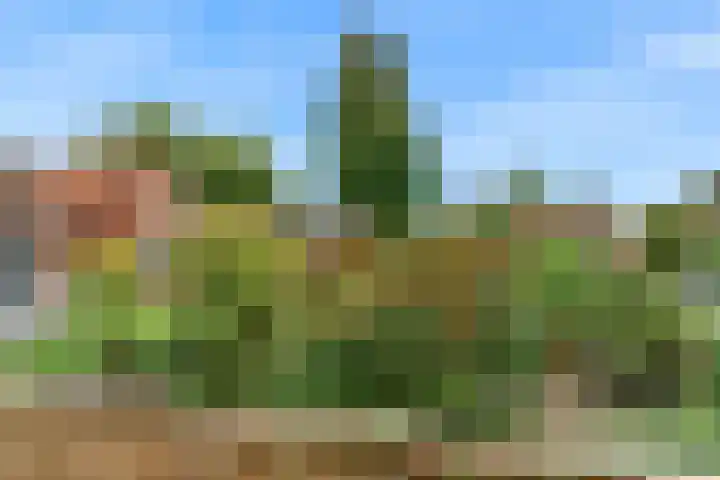 Willebrordweg 2 B Renkum thumbnail 36