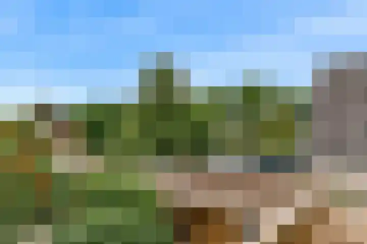 Willebrordweg 2 B Renkum thumbnail 37