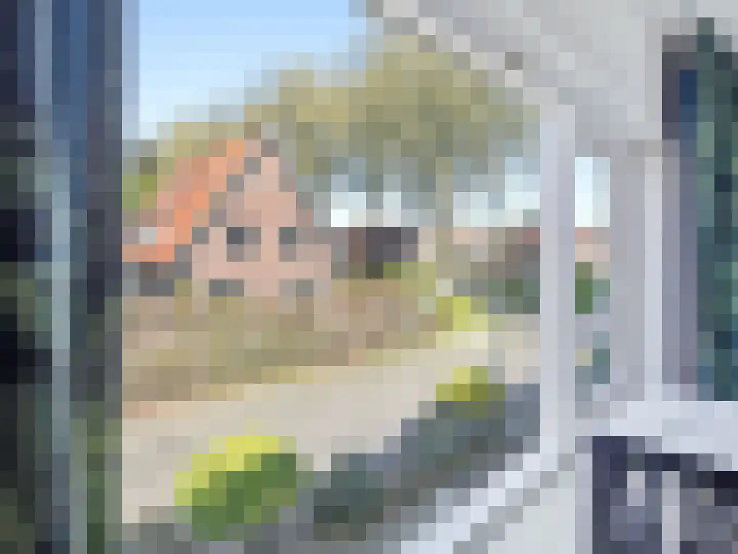 Willebrordweg 20 Renkum thumbnail 20