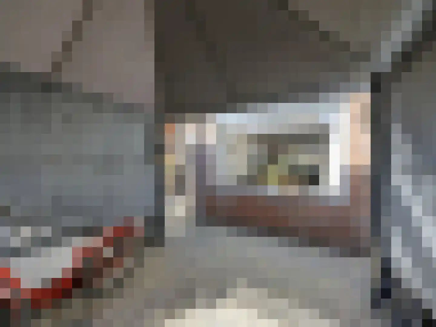 Willebrordweg 20 Renkum thumbnail 22
