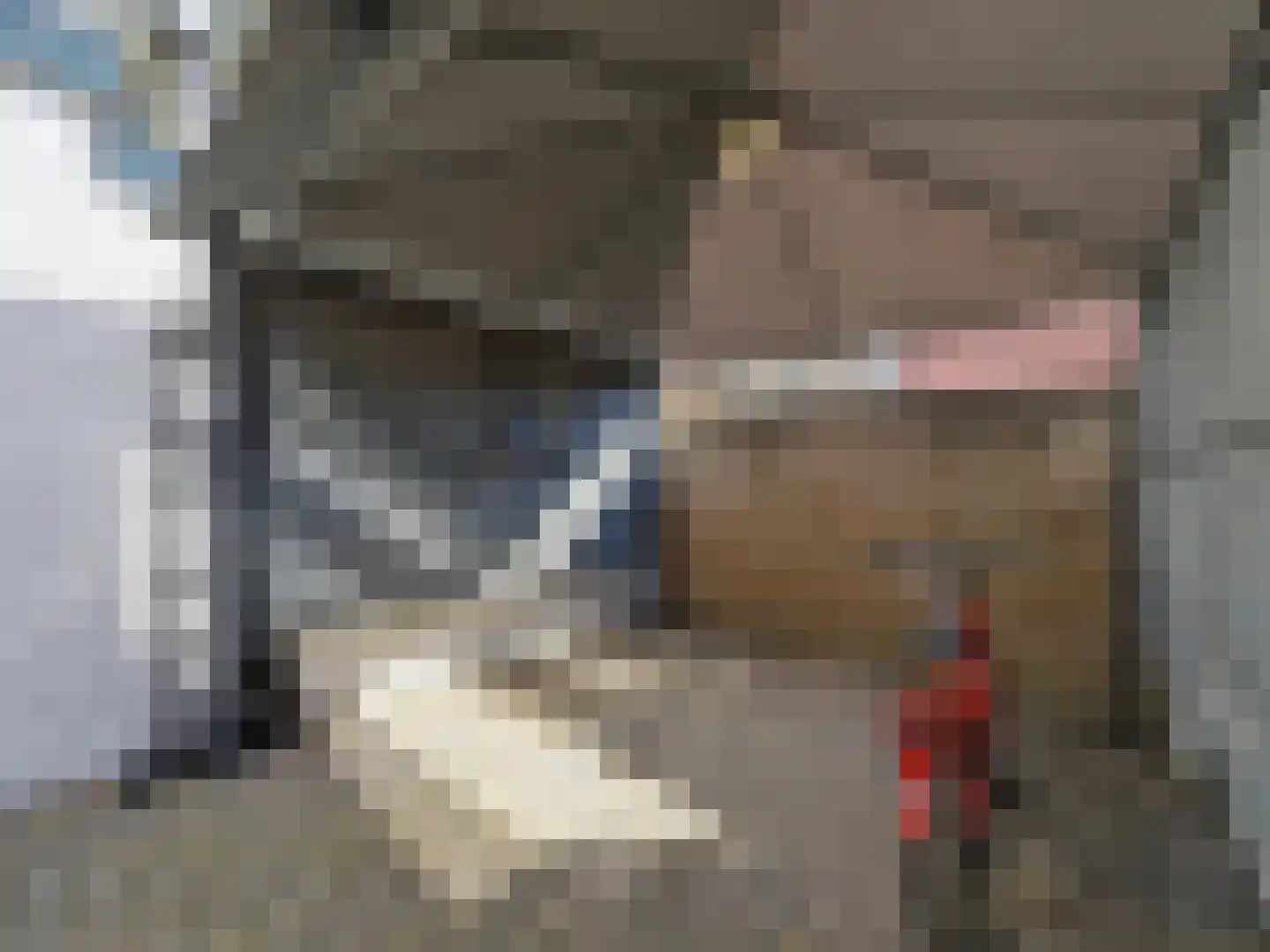 Willebrordweg 20 Renkum thumbnail 23