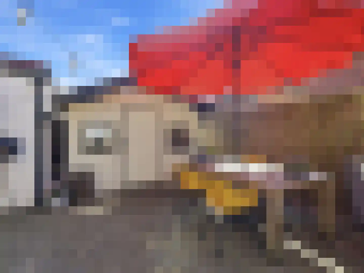Willebrordweg 20 Renkum thumbnail 26