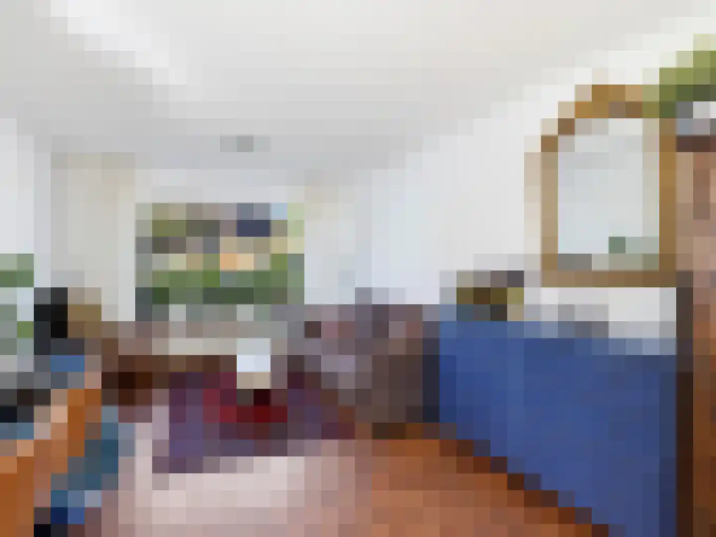 Willebrordweg 20 Renkum thumbnail 6