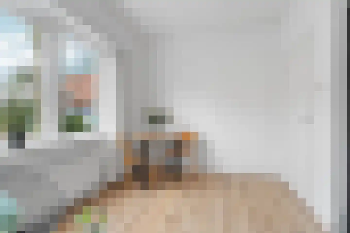 Willebrordweg 22 Renkum thumbnail 12
