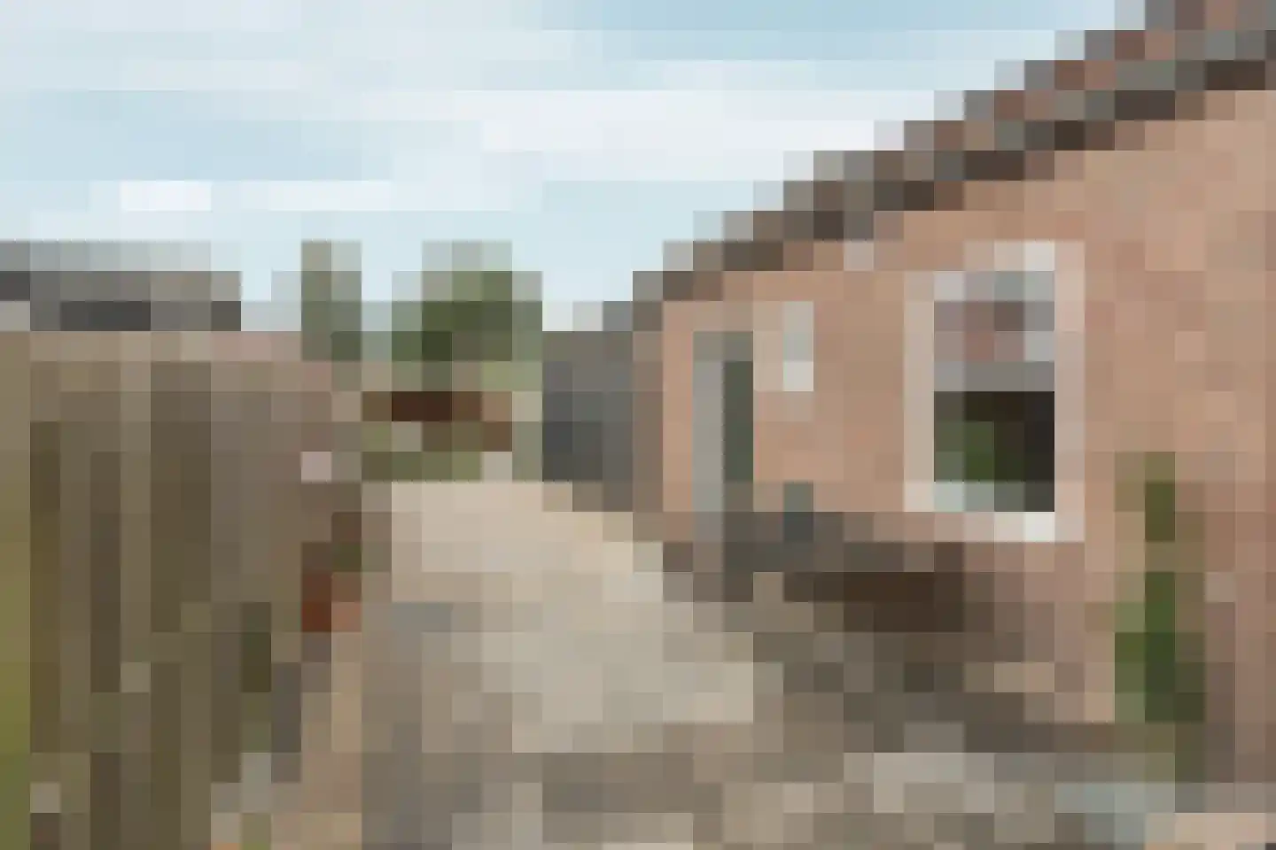 Willebrordweg 22 Renkum thumbnail 31