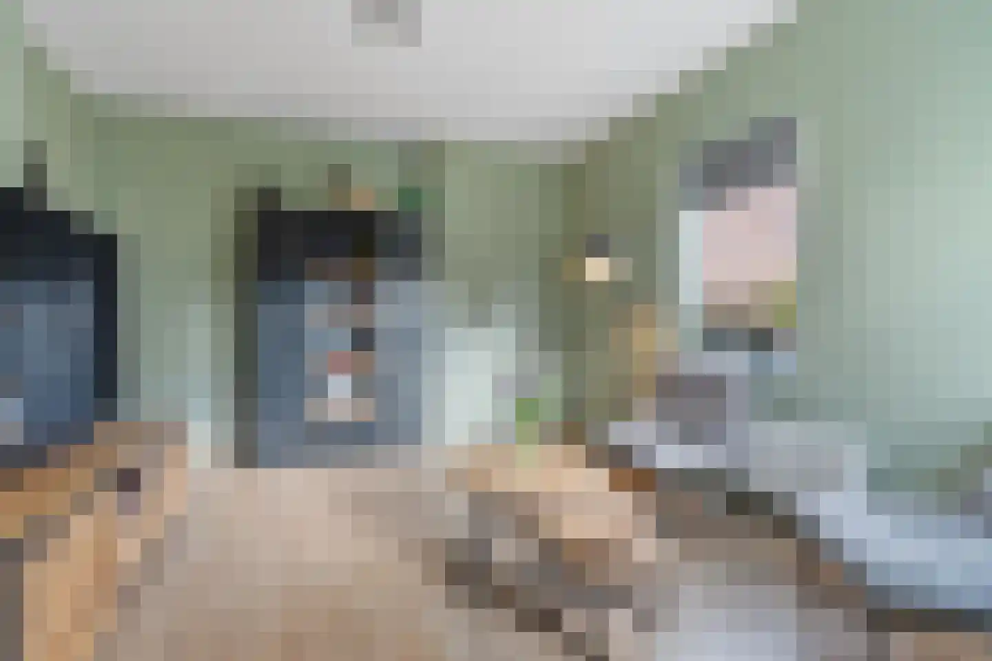 Willebrordweg 22 Renkum thumbnail 8