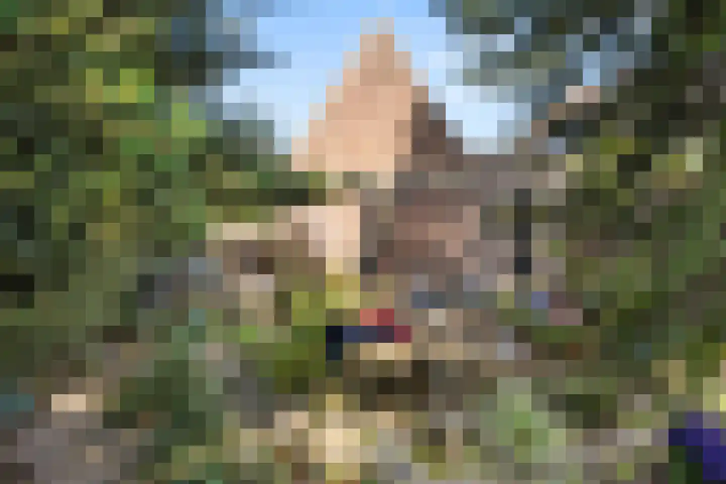 Willebrordweg 56 Renkum thumbnail 13