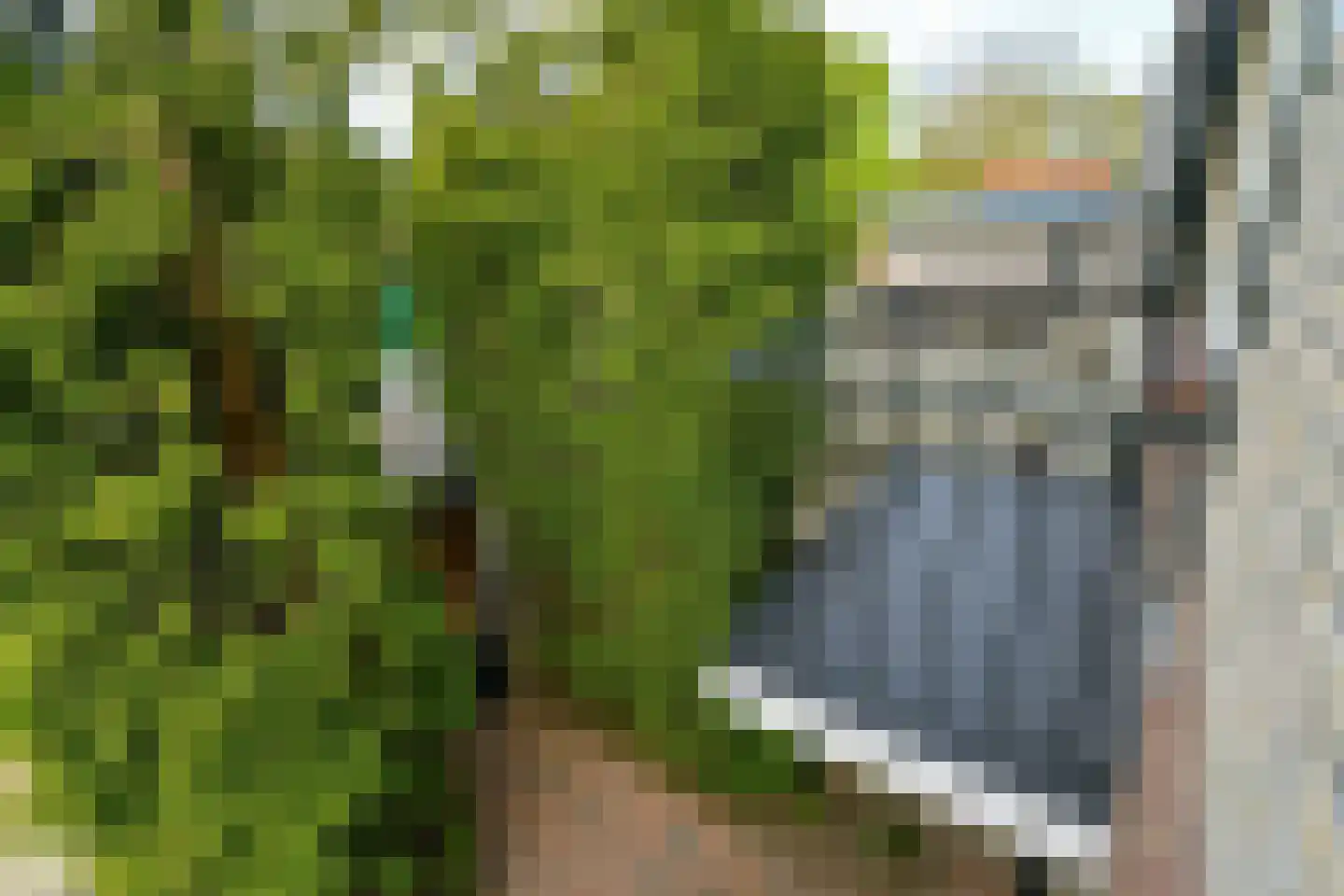 Willebrordweg 77 Renkum thumbnail 31