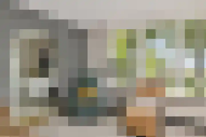 Willehadshof 33 Emmer-Compascuum thumbnail 10