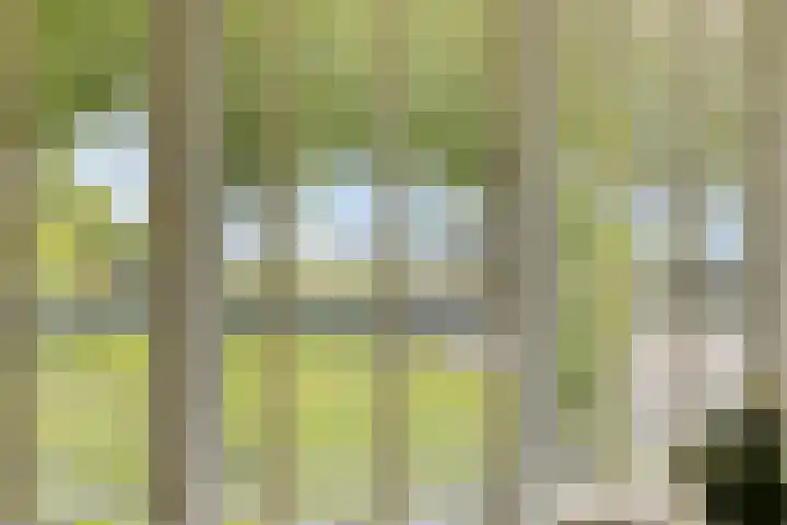 Willehadshof 33 Emmer-Compascuum thumbnail 11