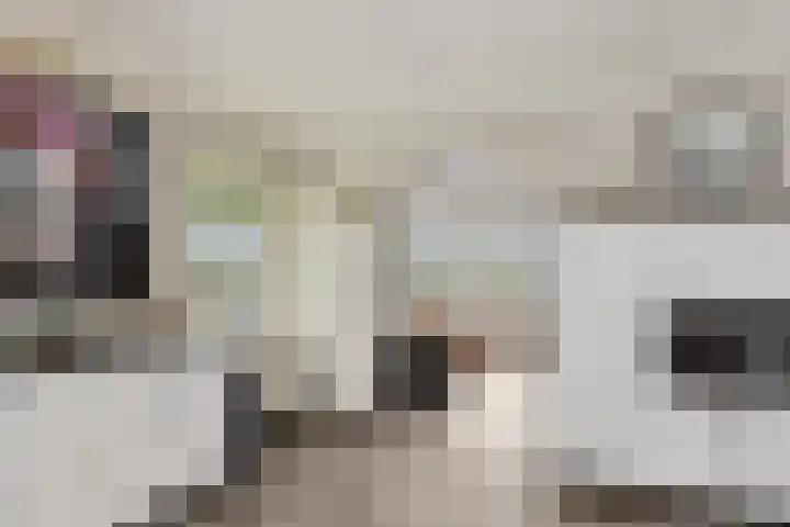 Willehadshof 33 Emmer-Compascuum thumbnail 12