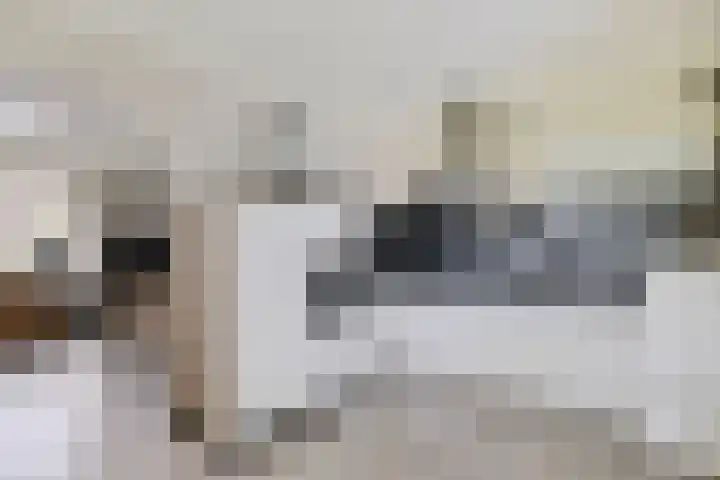 Willehadshof 33 Emmer-Compascuum thumbnail 13