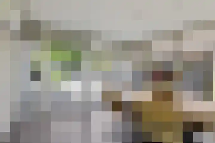 Willehadshof 33 Emmer-Compascuum thumbnail 15