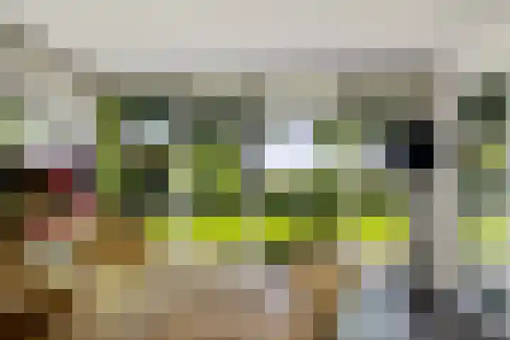 Willehadshof 33 Emmer-Compascuum thumbnail 16