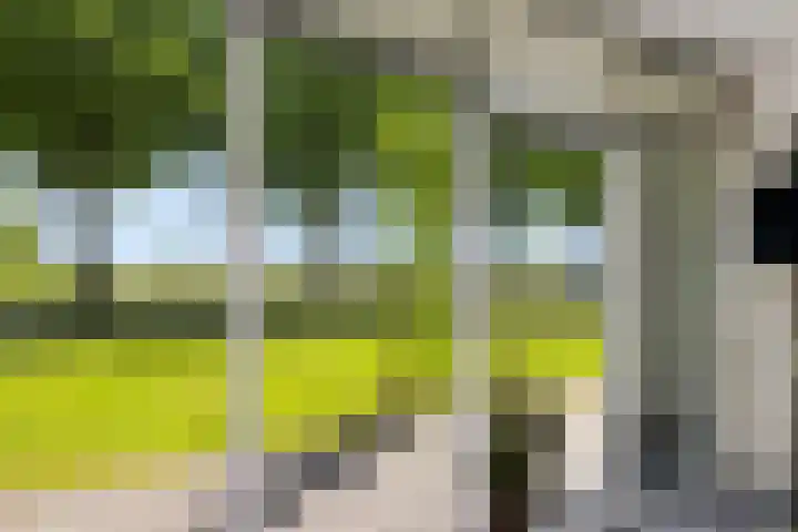 Willehadshof 33 Emmer-Compascuum thumbnail 17