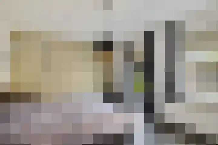 Willehadshof 33 Emmer-Compascuum thumbnail 20