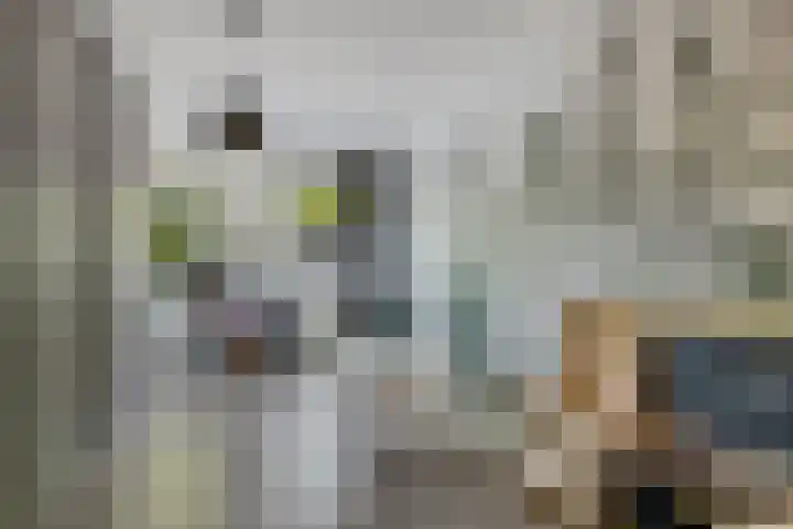 Willehadshof 33 Emmer-Compascuum thumbnail 21