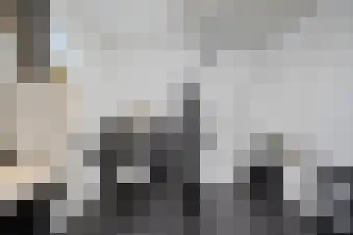 Willehadshof 33 Emmer-Compascuum thumbnail 23