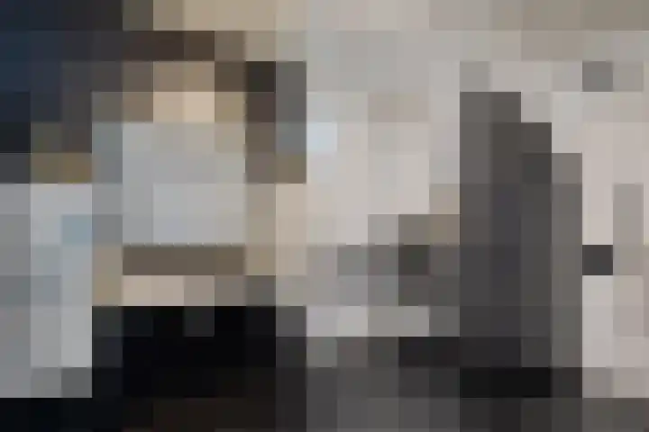 Willehadshof 33 Emmer-Compascuum thumbnail 24