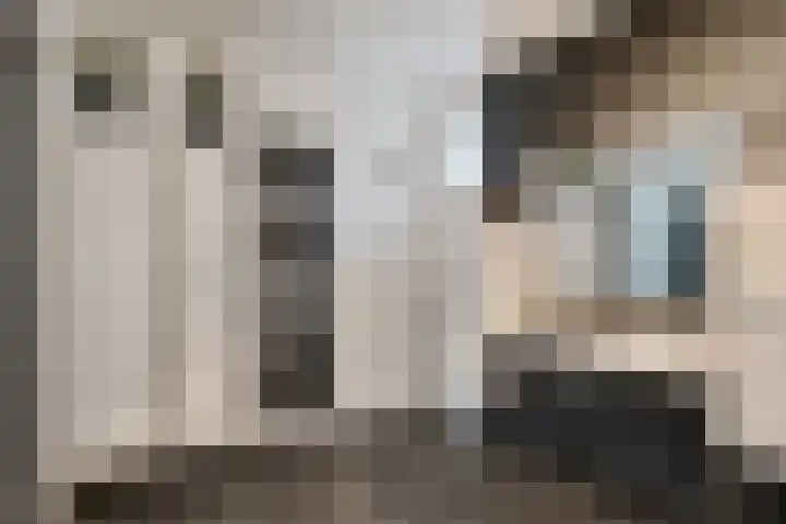 Willehadshof 33 Emmer-Compascuum thumbnail 25