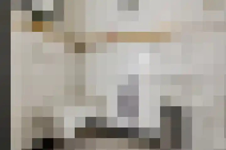 Willehadshof 33 Emmer-Compascuum thumbnail 27