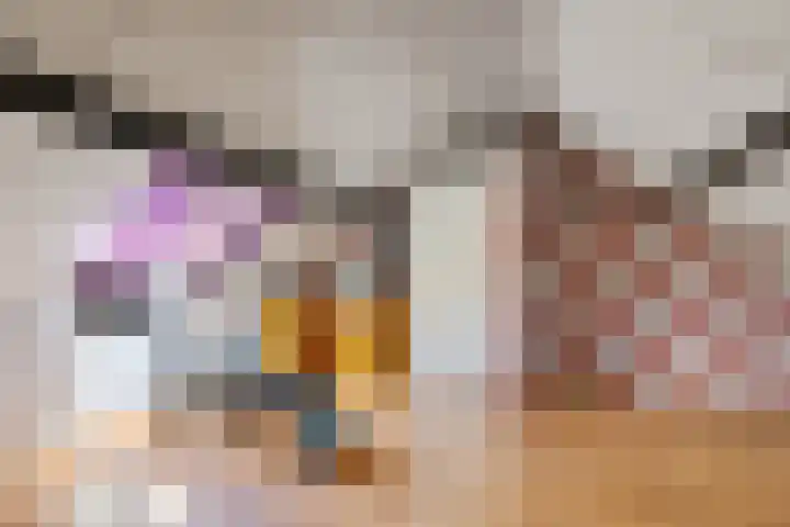 Willehadshof 33 Emmer-Compascuum thumbnail 32