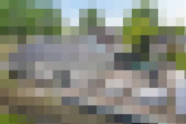 Willehadshof 33 Emmer-Compascuum thumbnail 34