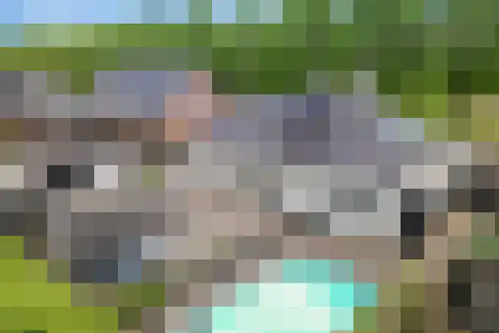 Willehadshof 33 Emmer-Compascuum thumbnail 35