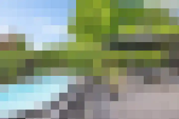 Willehadshof 33 Emmer-Compascuum thumbnail 38
