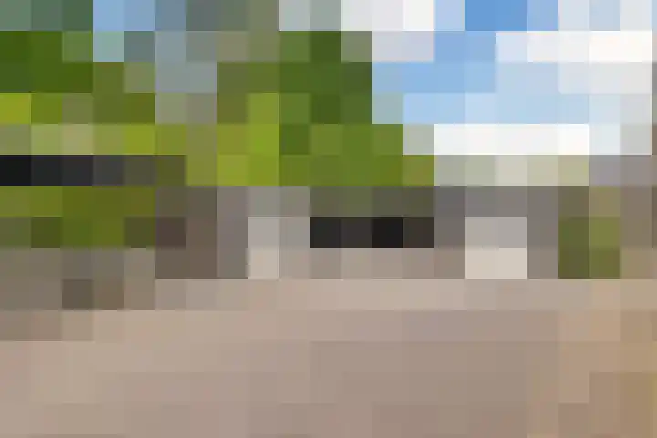 Willehadshof 33 Emmer-Compascuum thumbnail 39