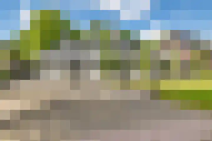 Willehadshof 33 Emmer-Compascuum thumbnail 42