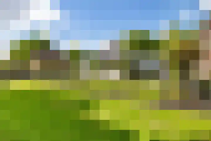 Willehadshof 33 Emmer-Compascuum thumbnail 43