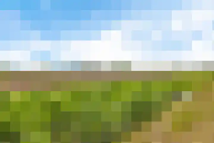 Willehadshof 33 Emmer-Compascuum thumbnail 44