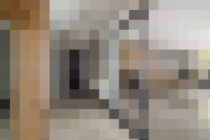 Willehadshof 33 Emmer-Compascuum thumbnail 5