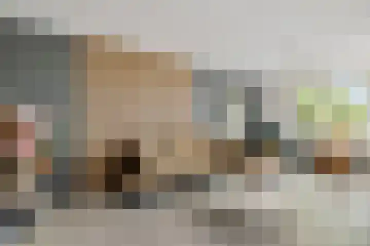 Willehadshof 33 Emmer-Compascuum thumbnail 6