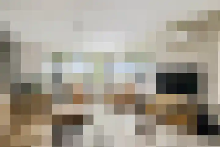 Willehadshof 33 Emmer-Compascuum thumbnail 7