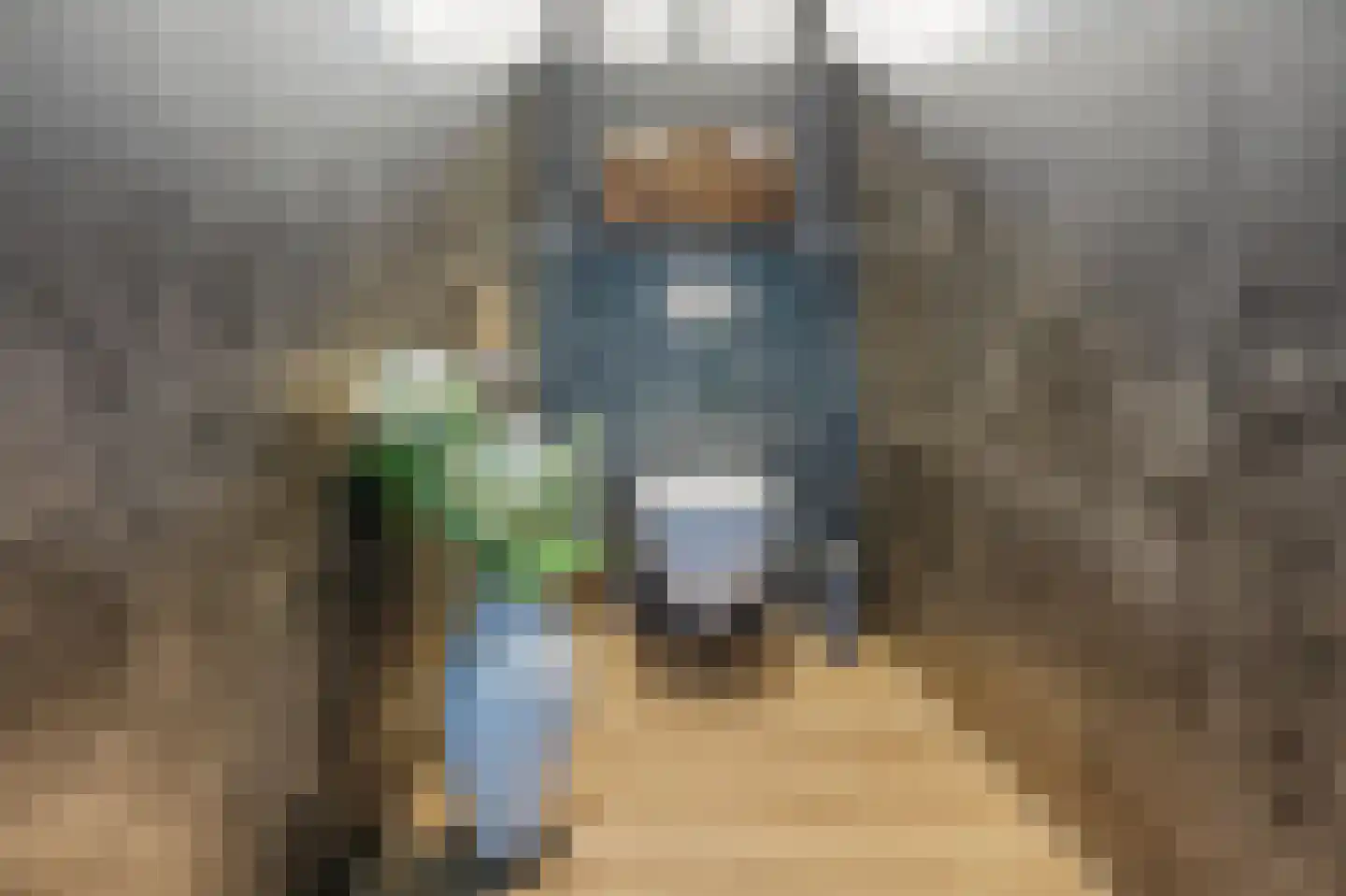 Willeke Joostenstraat 4 Bosschenhoofd thumbnail 20