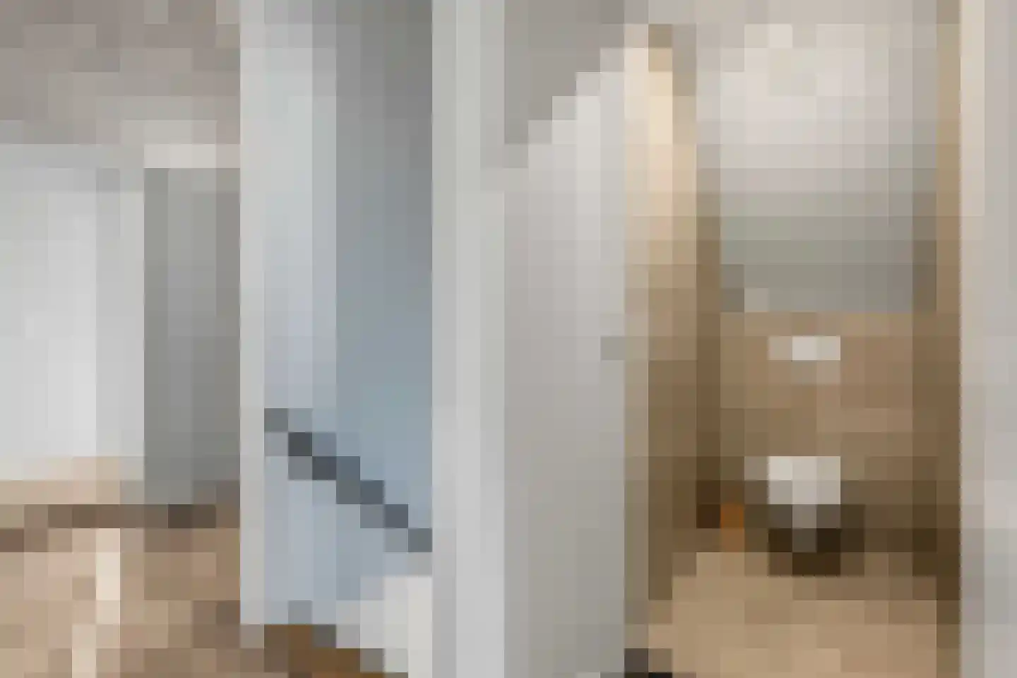 Willeke Joostenstraat 4 Bosschenhoofd thumbnail 30