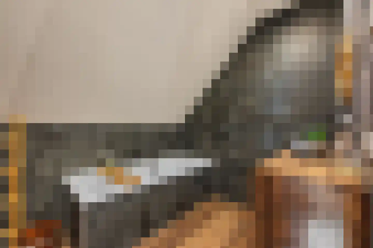 Willeke Joostenstraat 4 Bosschenhoofd thumbnail 34