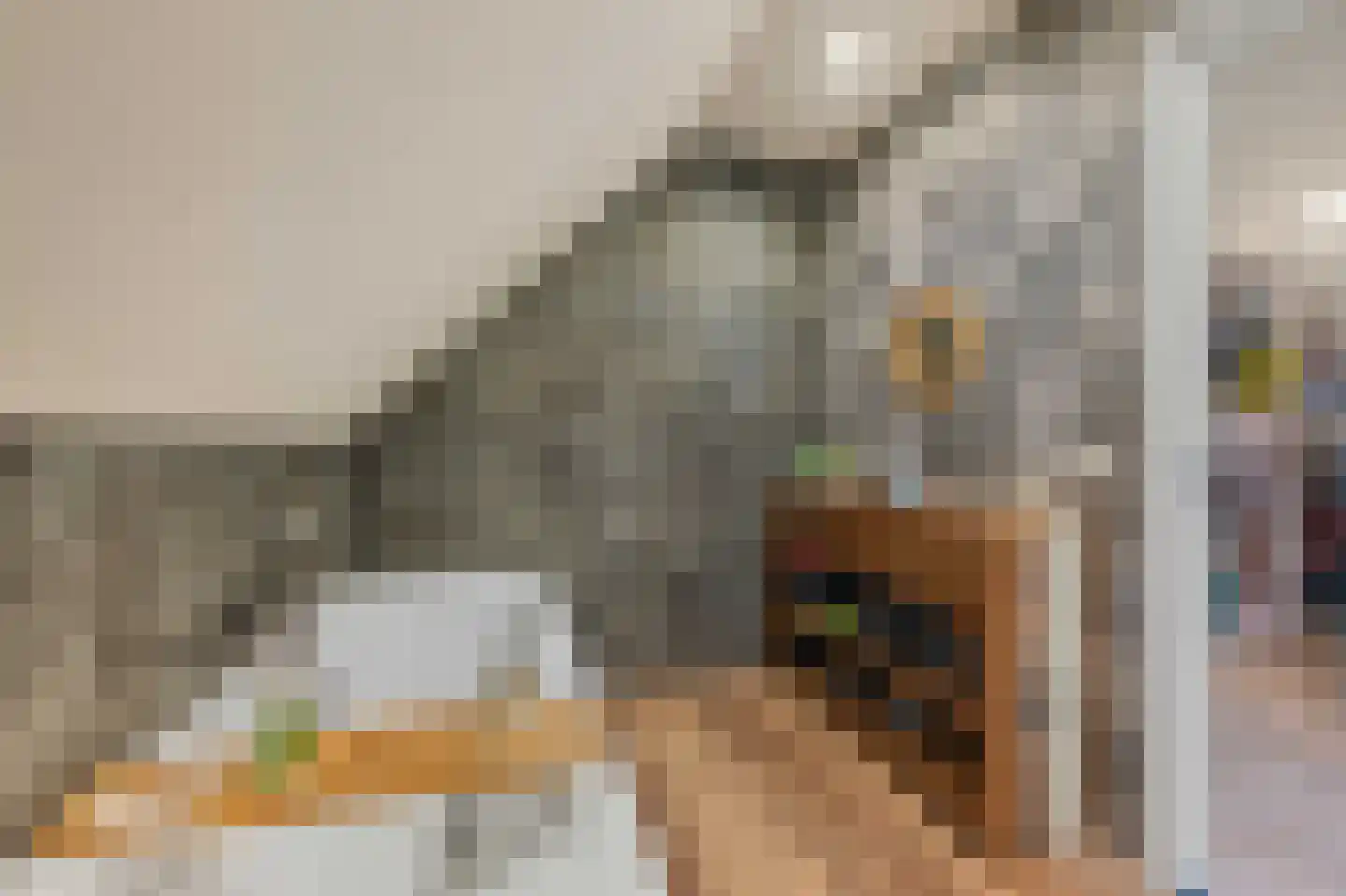 Willeke Joostenstraat 4 Bosschenhoofd thumbnail 35